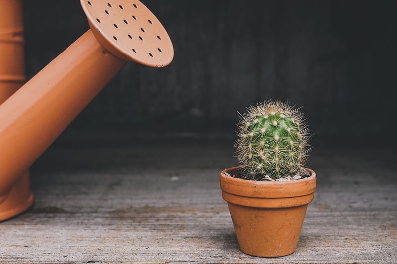 Personalized Planters